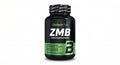 BioTechUSA ZMB | Testosterone Maintenance & Hormone Support | 60 Capsules